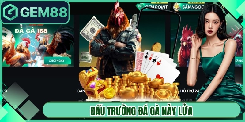 Đấu trường đá gà nảy lửa